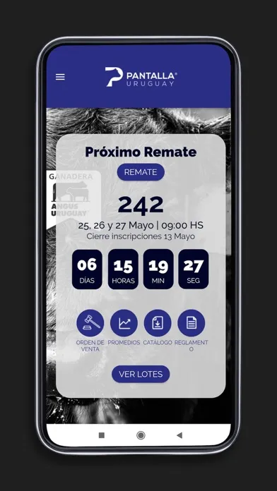 Pantalla Uruguay Remates Screenshots