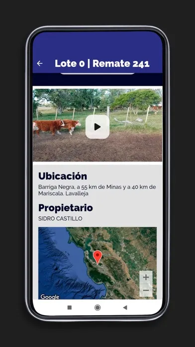 Pantalla Uruguay Remates Screenshots