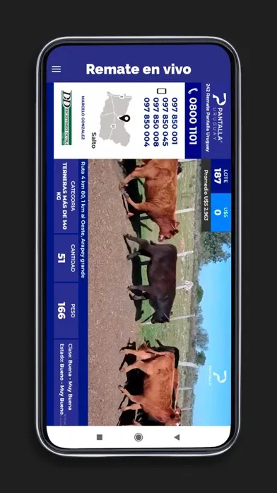 Pantalla Uruguay Remates Screenshots