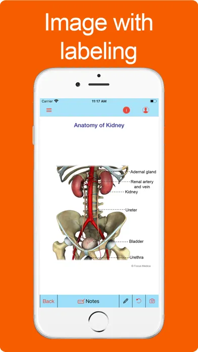 Silodal - Atlas of Nephrology Ekran Görüntüleri