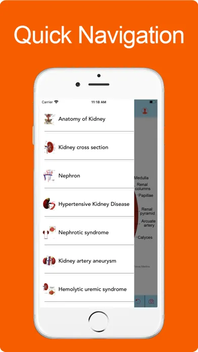 Silodal - Atlas of Nephrology Ekran Görüntüleri