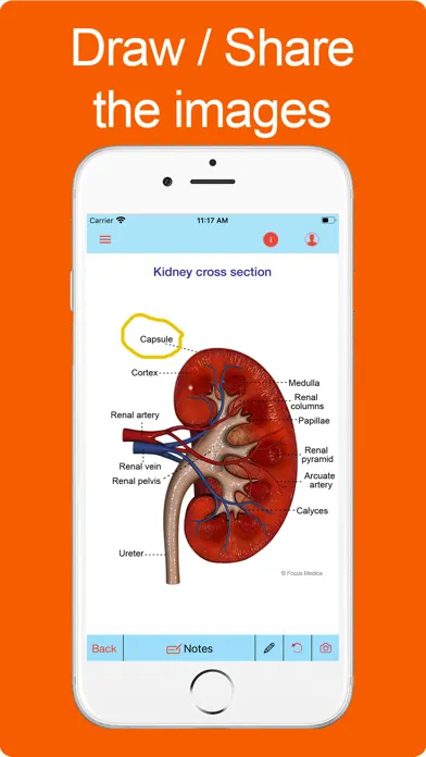Silodal - Atlas of Nephrology Ekran Görüntüleri