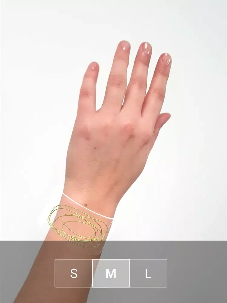 Paola Mirai AR Jewels iPad 应用截图