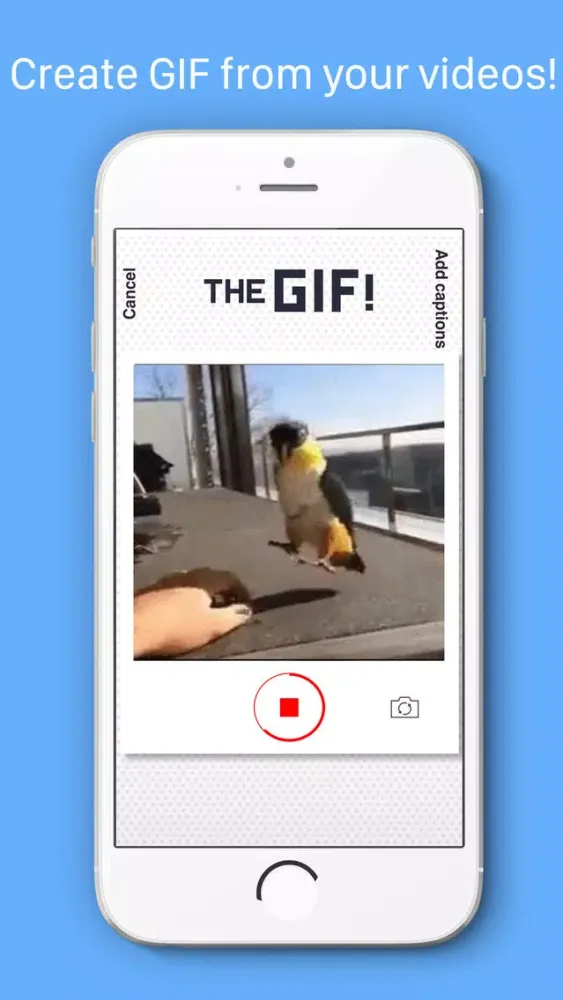 The GIF! スクリーンショット