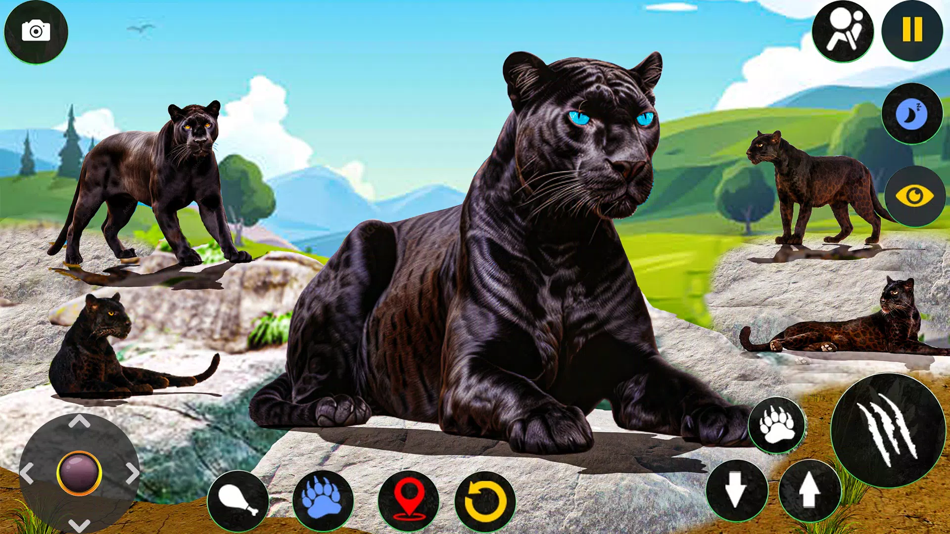 Wild Black Panther Sim Games Screenshots