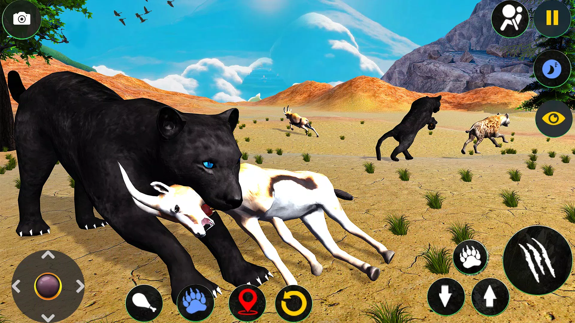 Wild Black Panther Sim Games Screenshots