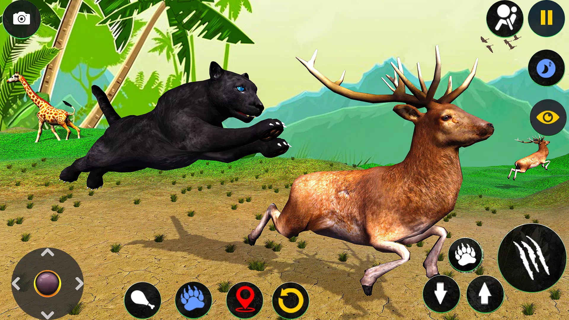 Wild Black Panther Sim Games Screenshots