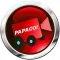 PAPAGO! DVR