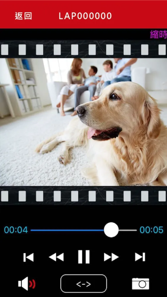 Ảnh chụp màn hình của PAPAGO! LifeCAM