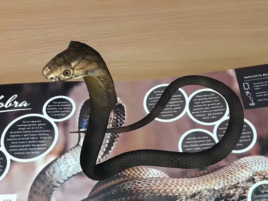 Capturas de tela do Animals of Africa iPad 