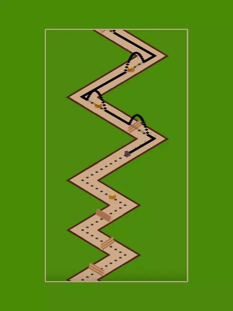 Bear Trail Run iPad  Screenshots