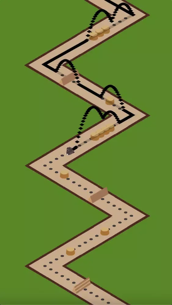 Bear Trail Run Screenshots