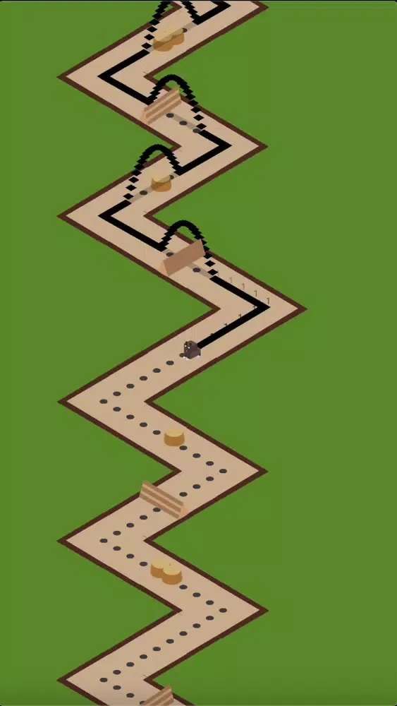 Bear Trail Run Screenshots
