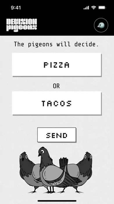 Decision Pigeons Ekran Görüntüleri