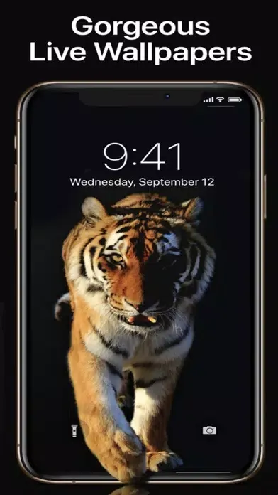 Tangkapan skrin WallPanda-Wallpapers 4K