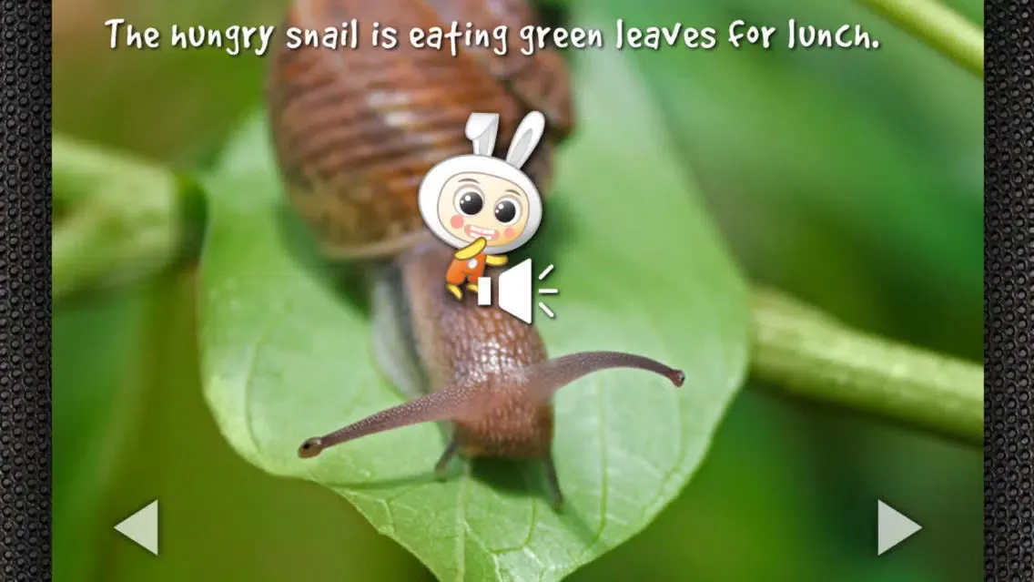 Capturas de tela do Ribbit, Did I Just Say Ribbit?: Hear to Learn Animal Sounds - Children’s Story Book