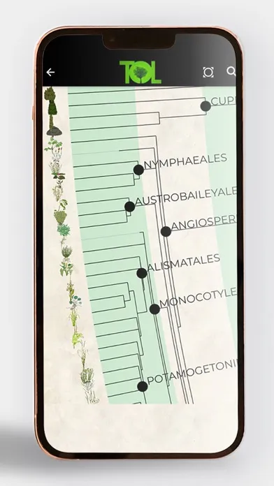 Скриншоты Tree of Life - ToL App