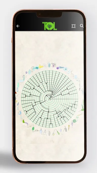 Скриншоты Tree of Life - ToL App