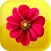 Flowers-Emojis