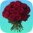 Roses-Flower Bouquet