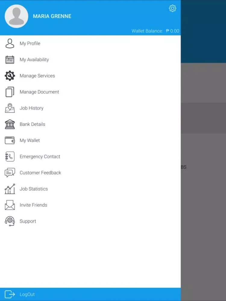 Zrzuty ekranu PAPS Cleaner iPad 