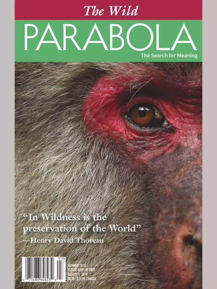 Zrzuty ekranu Parabola Magazine iPad 