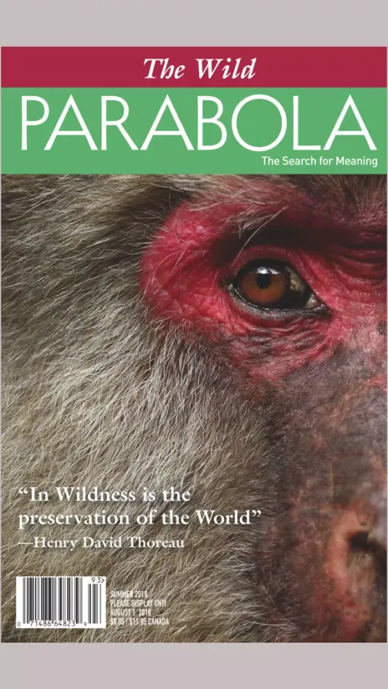 Zrzuty ekranu Parabola Magazine