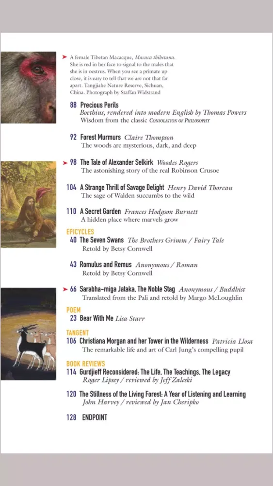 Zrzuty ekranu Parabola Magazine