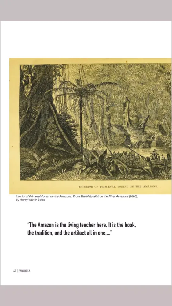 Zrzuty ekranu Parabola Magazine