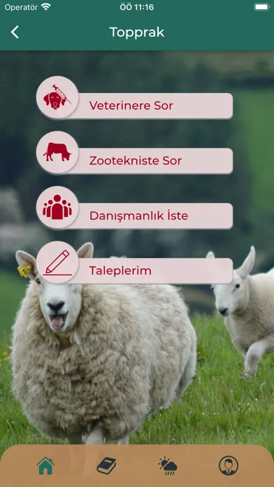 Zrzuty ekranu Topprak