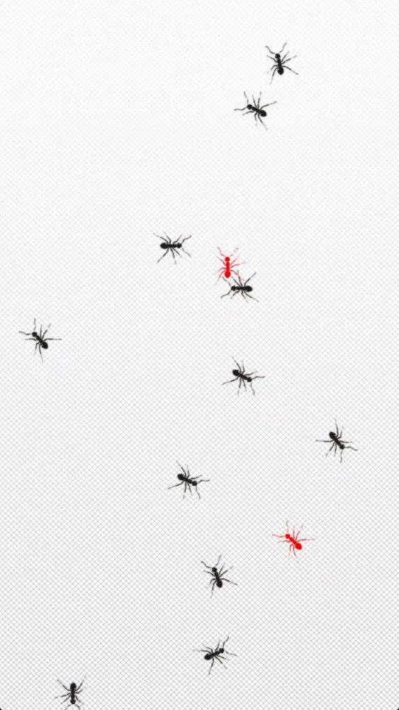 Kill Ants (alarm clock)应用截图