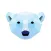 Polar Baer