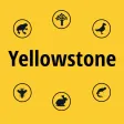 Yellowstone NP Field Guide Yellowstone NP Field Guide