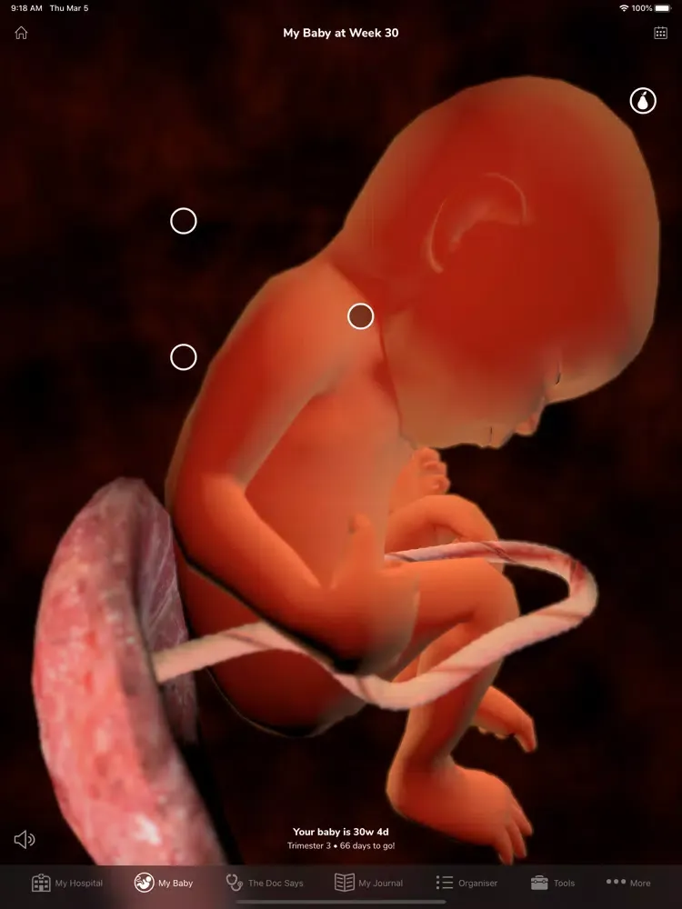 Скриншоты DigiHealth Maternity iPad 