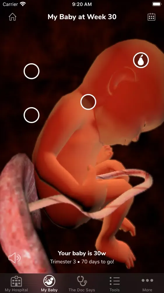 Скриншоты DigiHealth Maternity