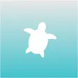 Turtle Lock