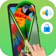 Parrot Voice Zip Screen Lock