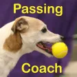 Flyball Passing Coach Flyball Passing Coach