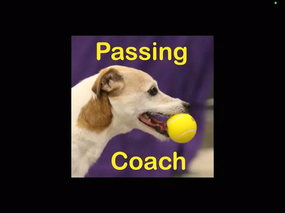 Flyball Passing Coach iPad  スクリーンショット