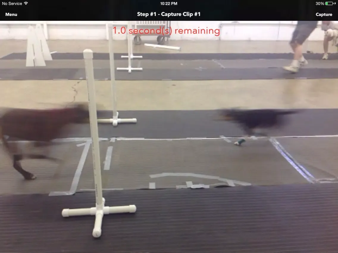 Flyball Passing Coach iPad  スクリーンショット