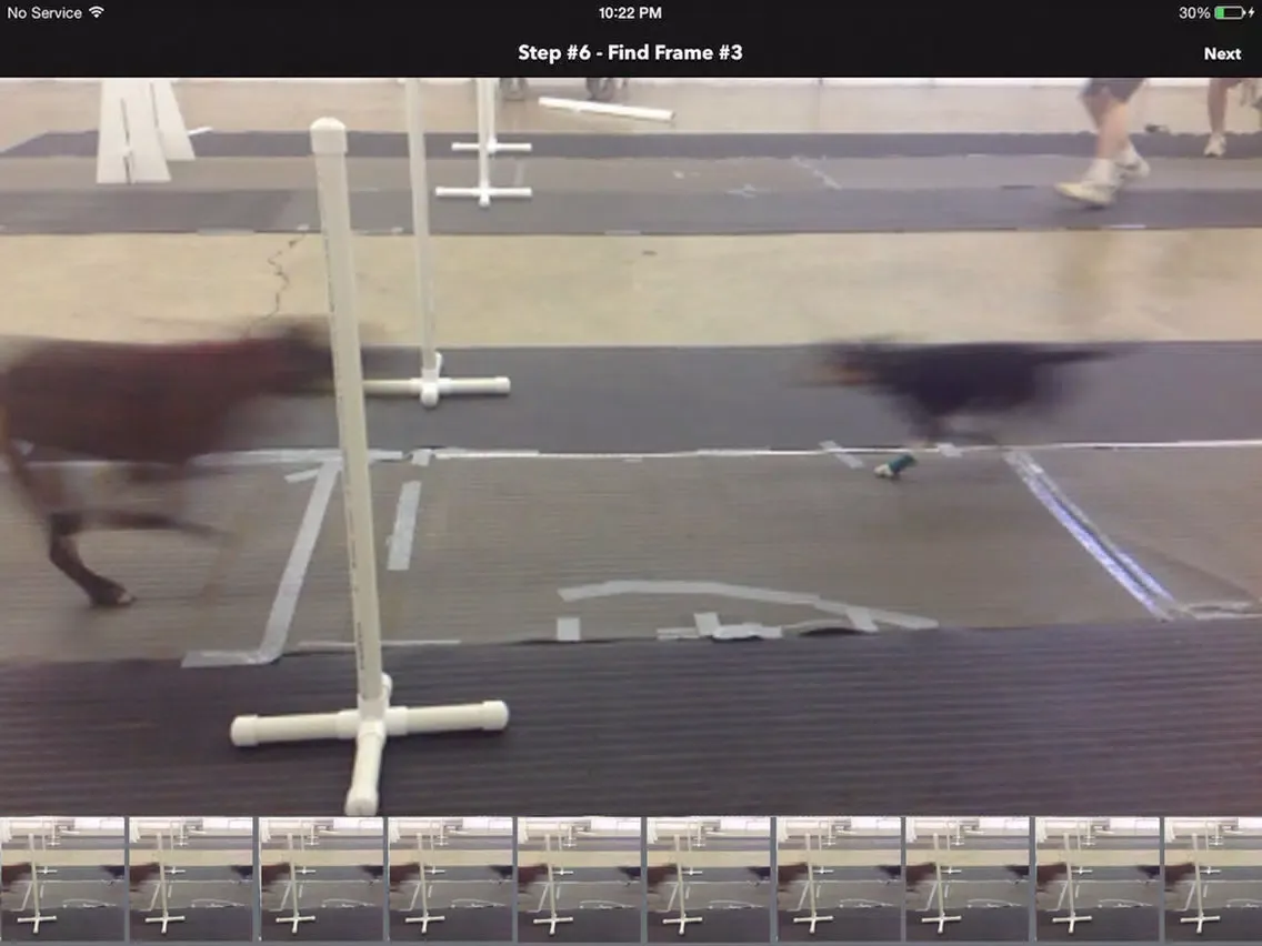 Flyball Passing Coach iPad  スクリーンショット