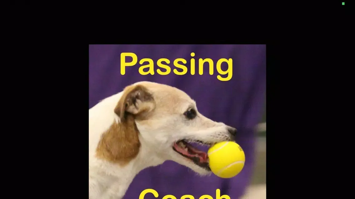 Flyball Passing Coach スクリーンショット