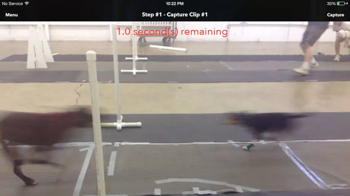 Flyball Passing Coach スクリーンショット