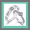 Charleston Brides Guide