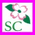 Summerville
