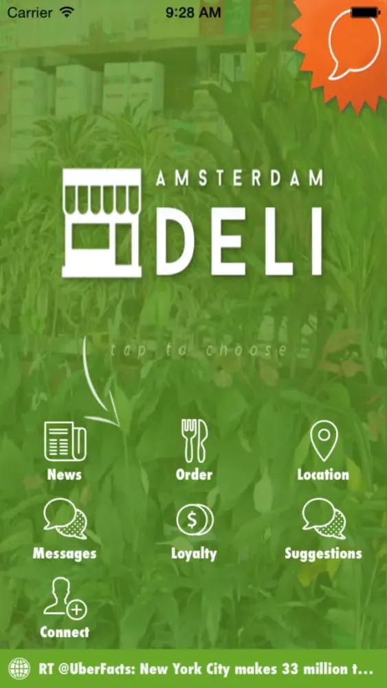 Amsterdam Deli NYC Screenshots