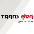 Trans Ova Genetics