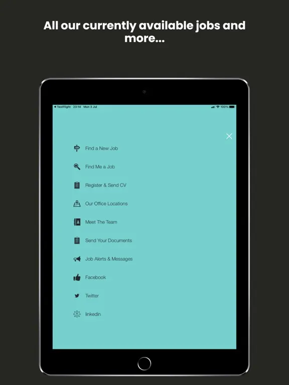 Linsco Recruitment Ltd iPad  স্ক্রিনশট