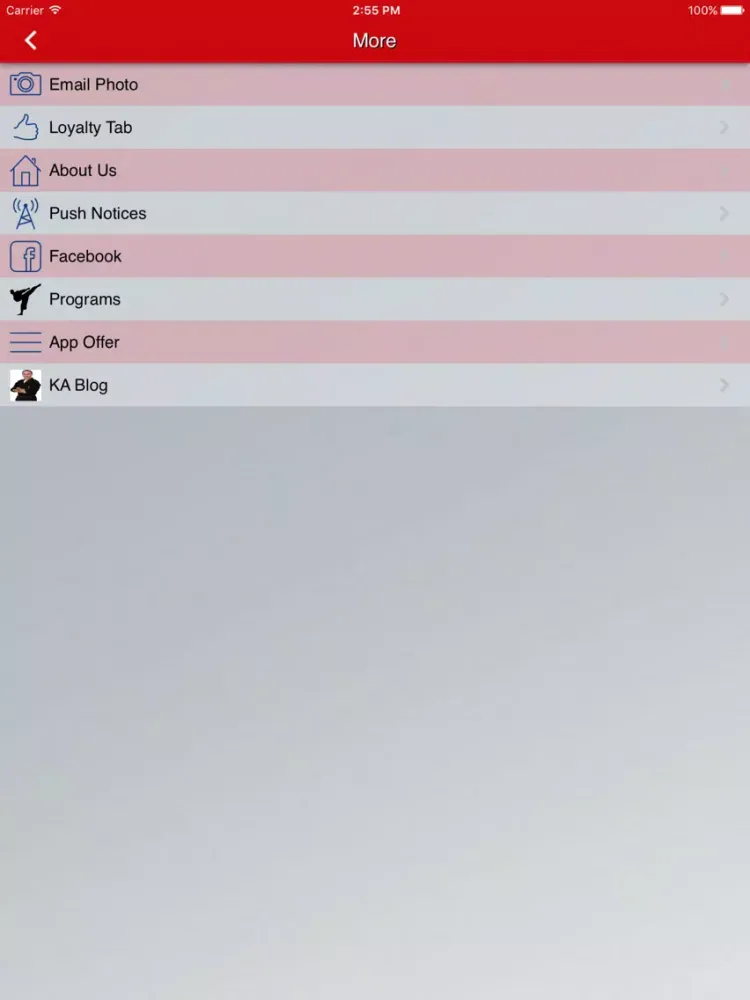 ภาพหน้าจอของ Karate America iPad 
