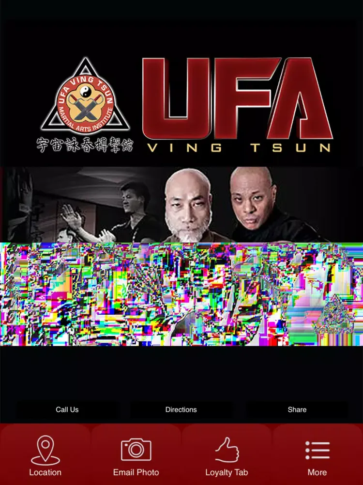 تصاویر UFA Ving Tsun Martial Arts iPad 